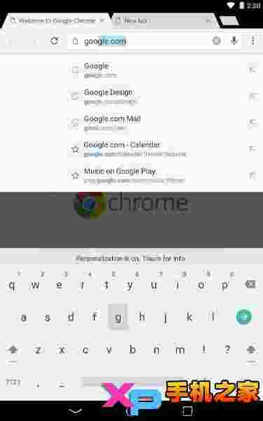 谷歌浏览器测试版(Chrome Beta)