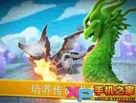 龙迷传奇