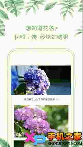 形色