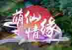 萌仙情缘