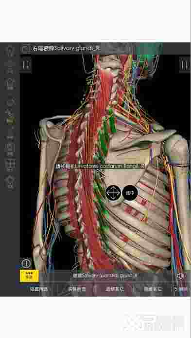 3Dbody解剖ios版