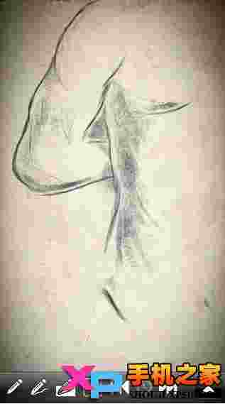 Lead Sketch(铅笔素描 )