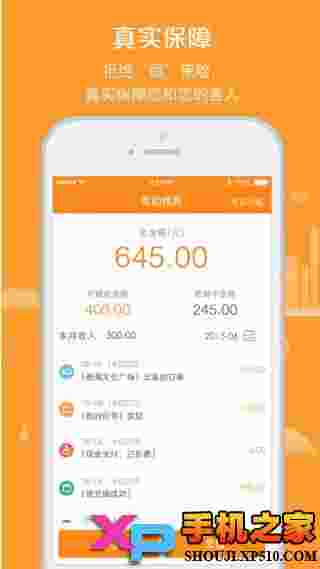滴滴代驾司机ios版
