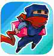 流氓忍者(Rogue Ninja)