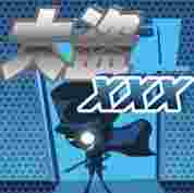大盗XXX TV版