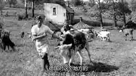 BBC二战全史TV版