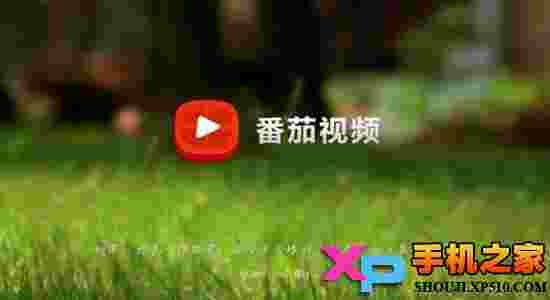 何以笙箫默TV版