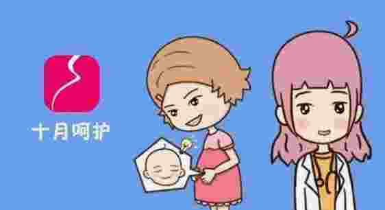 十月呵护TV版