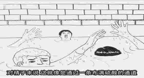 十月呵护TV版