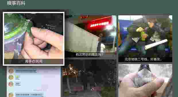趣图精选TV版