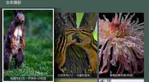 摄影聚集TV版