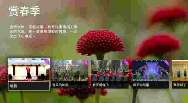 恰恰广场舞TV版