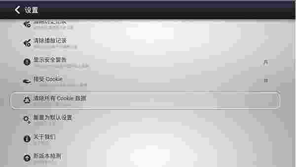 飞视浏览器领先版TV版