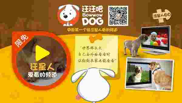 汪汪吧TV版