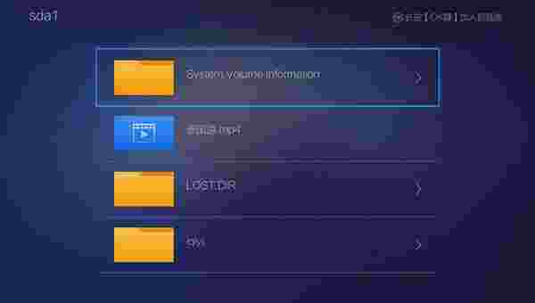 VST极清播放器TV版