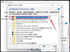 怎么样安装.net framework？Win11安装net framework的方法