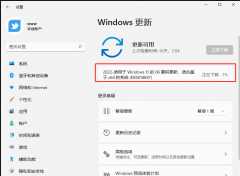 Win11热点连接成功但没网？Win11移动热点和网络冲突的处理办法