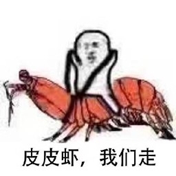 皮皮虾我们走暴走图片
