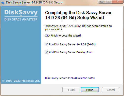 Disk Savvy Server