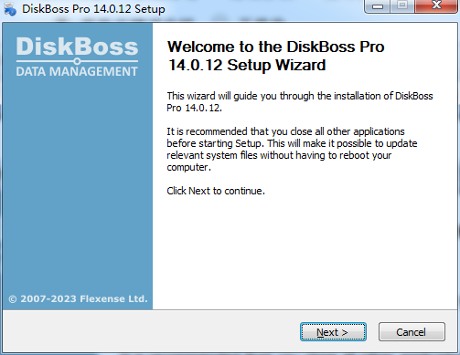 DiskBoss Pro 32位