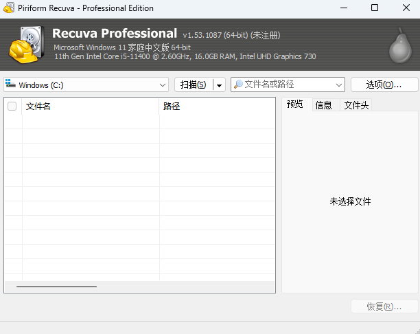 Recuva Professional