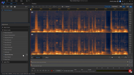 AudioDirector 365