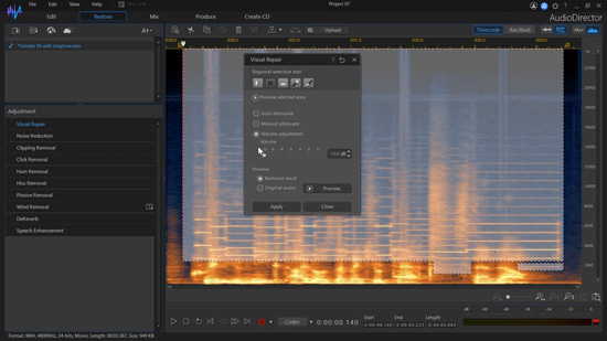 AudioDirector 365