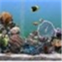 海星中文通正式版3.0官方版