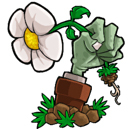植物大战僵尸中文版修改器正式版1.2官方版